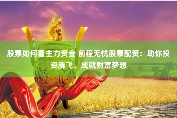 股票如何看主力资金 前程无忧股票配资：助你投资腾飞，成就财富梦想